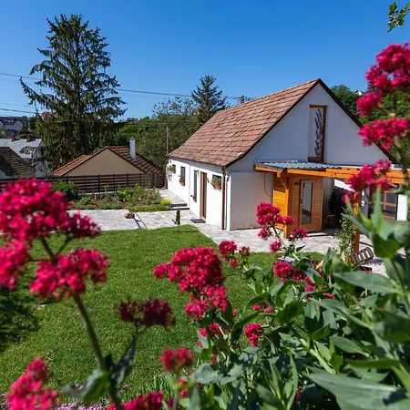 Malomvoelgyi Vendeghaz Holiday home *