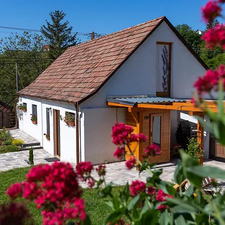 Prázdninový dům Malomvoelgyi Vendeghaz Balatonalmádi