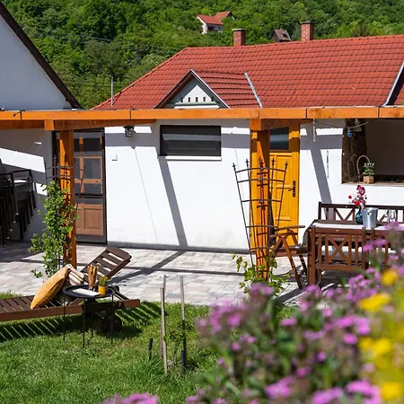 Malomvoelgyi Vendeghaz Holiday home Balatonalmadi