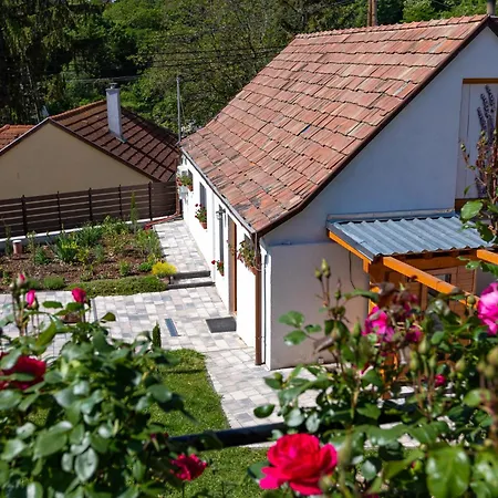 Malomvoelgyi Vendeghaz Holiday home
